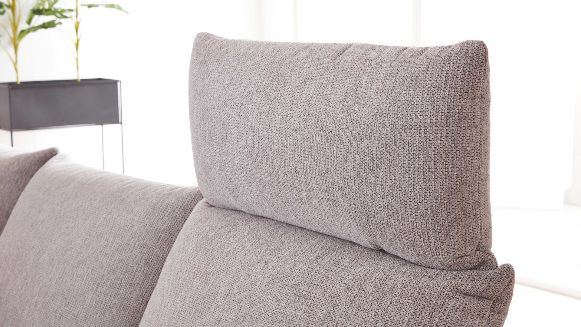 Wohnland Breitwieser , Möbel A-Z, Sofa + Couch, Interliving