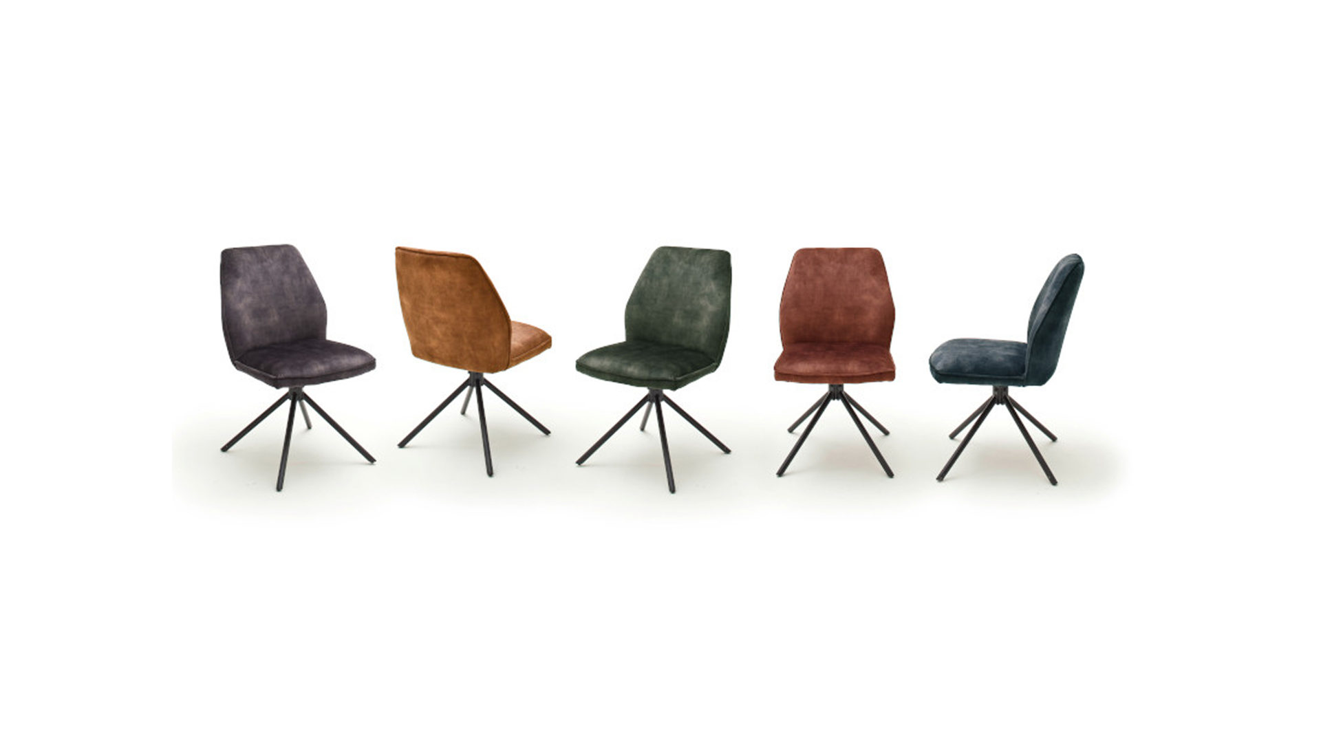 Wohnland Breitwieser , Markenshops, Stühle Design, mit 4, Veloursoptik, Ottawa & 4 Fuß Vintage Keder Sessel, Kare - Curry Stuhl